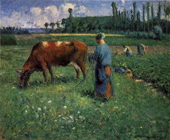 Camille Pissarro : Girl Tending a Cow in a Pasture